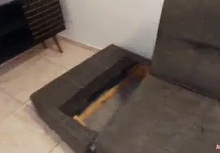 Nubile films - une fille sexy laisse la bite de son mec faire la conversation alors quelle baise sa copine sexy