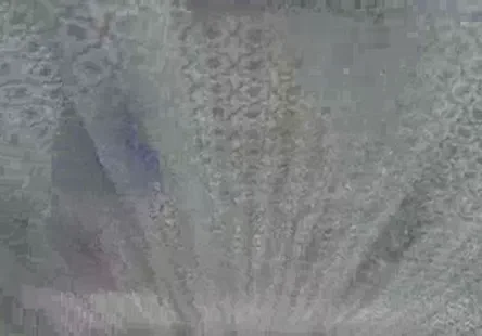 Vous avez un jeune, chaud, beau couple qui est excité comme la baise